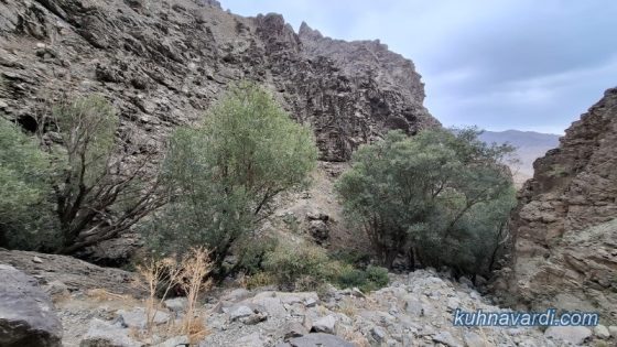 لوکیشن رودخانه و صرف نهار