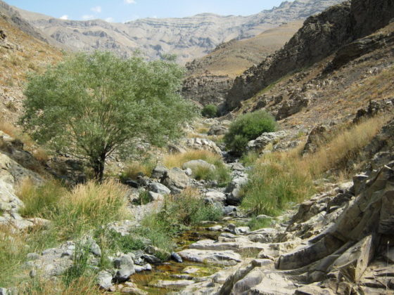 مسیر کوهنوردی دارآباد