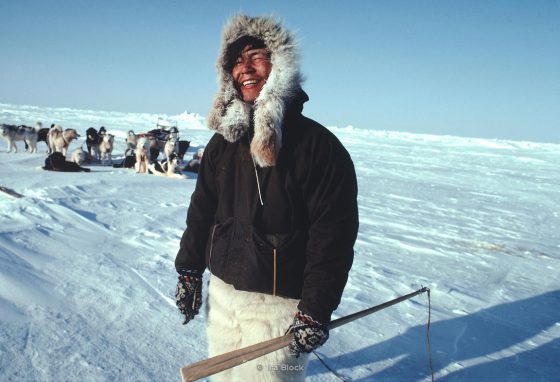 نائومی اومورا و سگ‌های سورتمه‌ای آلاسکایی‌اش در راه رسیدن به قطب شمال در سال 1978. اومورا، یک ماجراجوی ژاپنی، اولین کسی بود که به تنهایی به قطب شمال رسید.