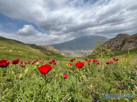 گردنه (دشت) مابین قله های دوبرار و هماسون. نمای زیبایی از قله دماوند که نوک آن در میان ابرها پنهان است.