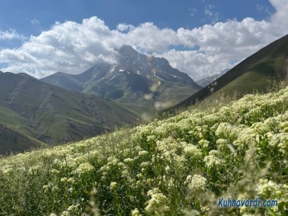 در مسیر یال. نمایی زیبا از قله آزادکوه