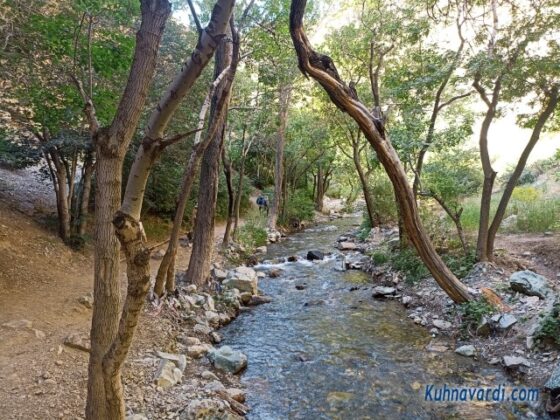 مسیر آبشار هفت چشمه ارنگه