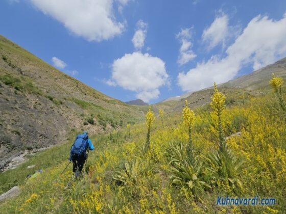 قسمتهای پایانی دره چاه خانی