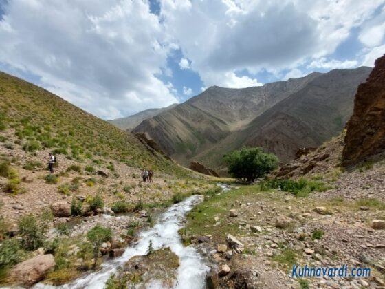 بیدستان و چشمه