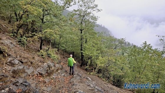 در مسیر فرود. در اینجا پاکوب روستای پیت سرا را که پاکوب خوبی بود ادامه دادیم و سپس از سمت راست ارتفاع کم کرده و به زیر باغ گردو رسیدیم. (به دلیل دورتر شدن، این بخش از ترک اصلاح و حذف شده است)