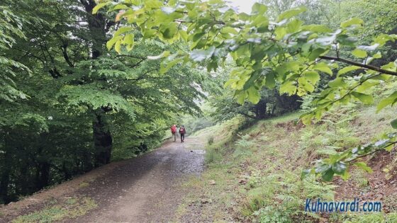 حرکت در مسیر جاده جنگلی، قسمت های ابتدایی مسیر