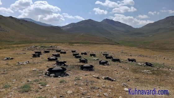 آبگیرهای جالب با تایر خودرو برای جمع آوری آب باران در نزدیکی گوسفند سرا