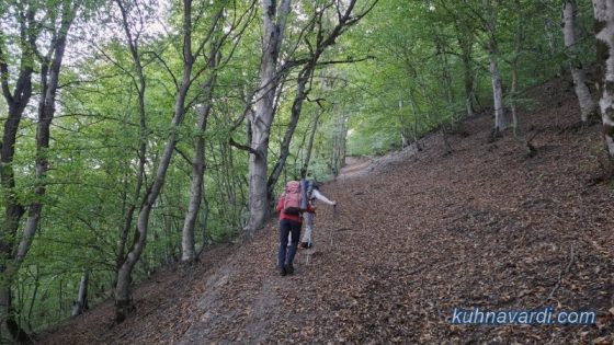 مسیر جنگلی قله فضل فاضل از فشکور