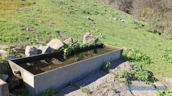 چشمه بالای دامسرای شیرکوه